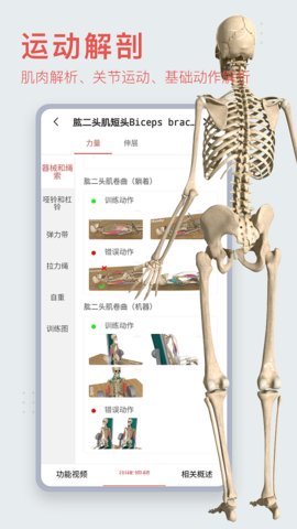 3Dbody人体解剖 